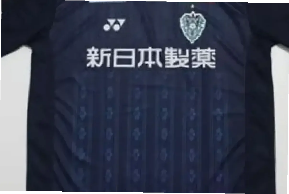 Fagiano Okayama: Perjalanan Menuju Puncak J1 League